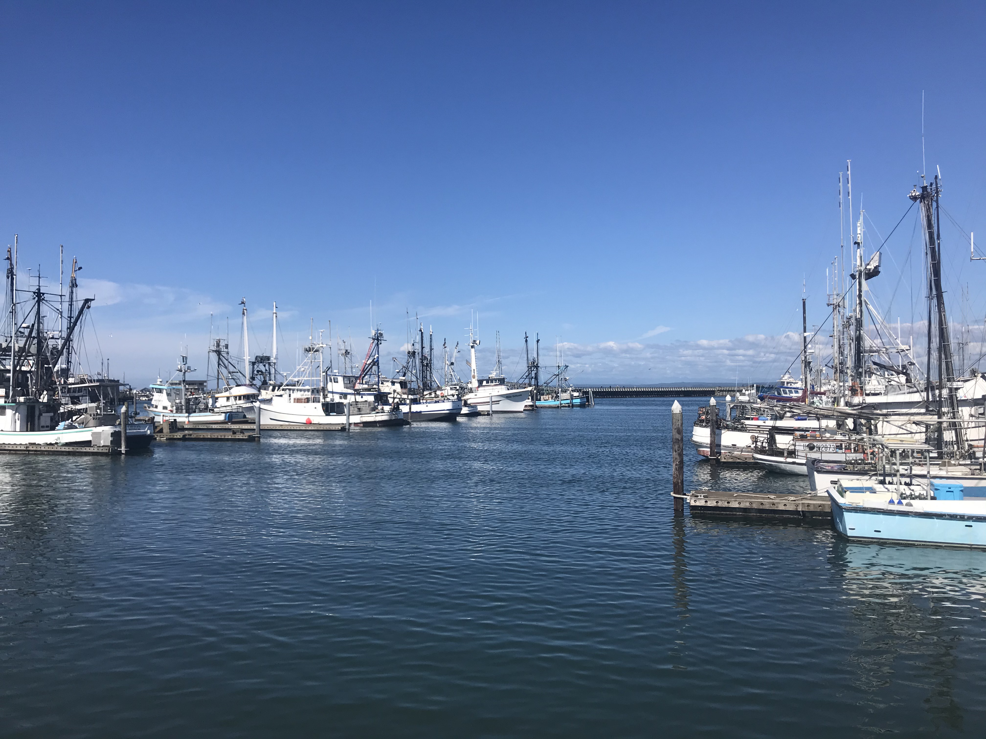 fishing boats in a marina on a sunny day with a blue sky